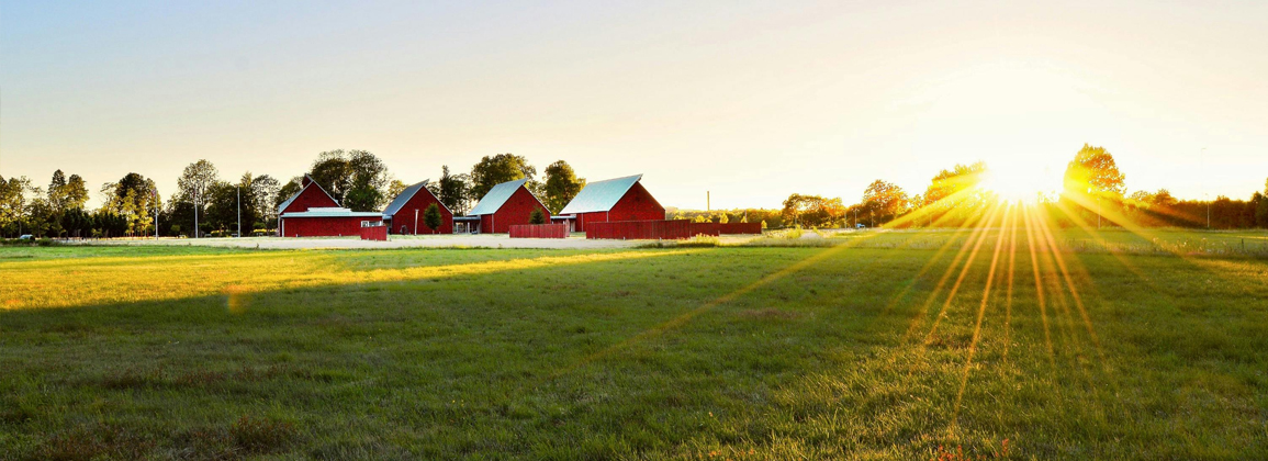 ESCAS Compliance Auditing